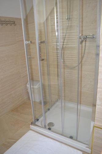 a shower with a glass door in a bathroom at Apartments Prekmurska vas - Vital Resort in Moravske Toplice