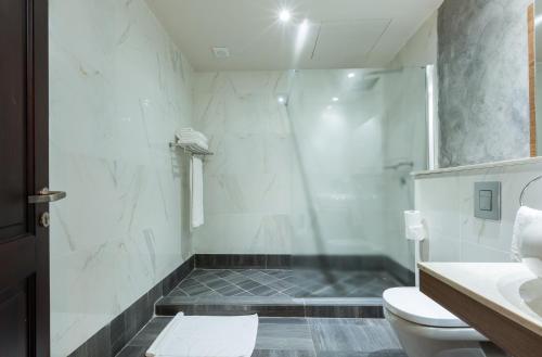 a bathroom with a shower and a toilet at The Palms by Eagles in Takoradi