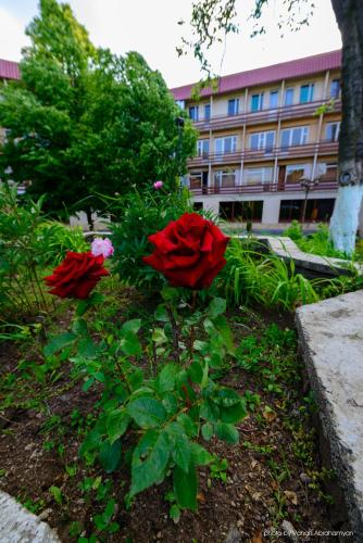 Zahrada ubytování Kirovakan Hotel