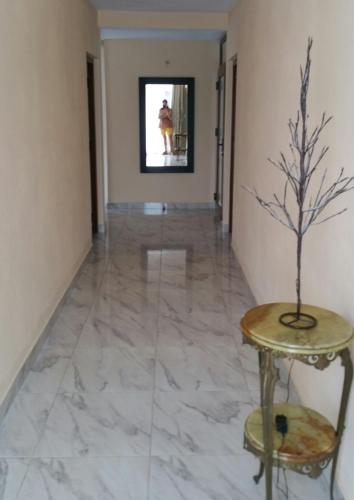 a hallway with a marble floor and a table with a plant at Pensiunea Rozmarin in Borca