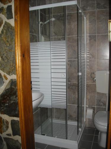 a bathroom with a shower and a toilet and a sink at Casa da Eira in Cerdeira