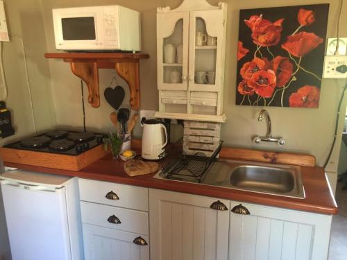 a small kitchen with a sink and a microwave at Staandakkie Guest Cottage in Bredasdorp