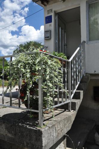 Κήπος έξω από το Apartment Marioni