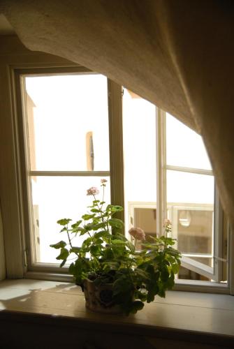 a plant sitting on a window sill in front of a window at Hotel Sven Vintappare in Stockholm