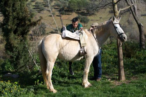 Ein Mann steht neben einem weißen Pferd in der Unterkunft Cortijo El Berrocal in Cazalla de la Sierra