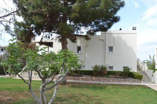 Κήπος έξω από το Villa Melita Seafront