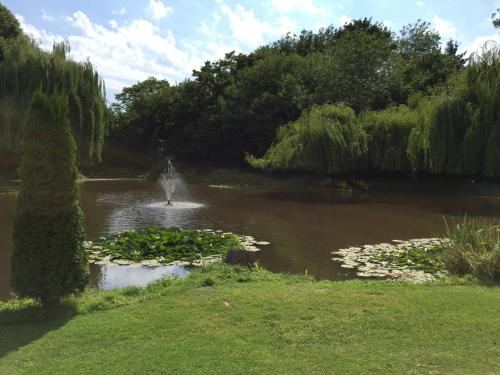 a pond with a fountain in the middle of it at Everglades in Denver