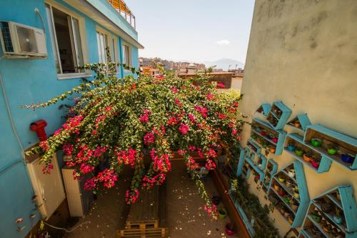 Eco hostel florealeにある庭