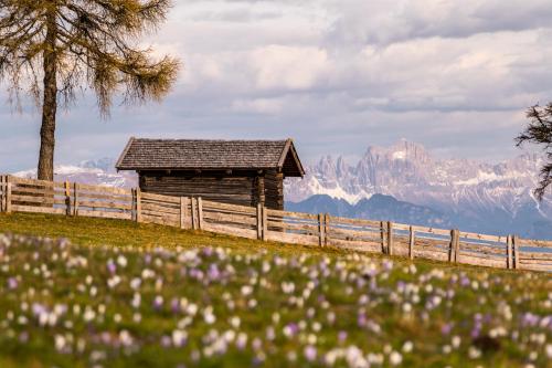 a wooden cabin on a hill with a fence and flowers at APARTMENT im garten 9 in Gargazzone