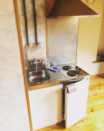 a small kitchen with a sink and a stove at Jolando Apartment in Kaunas