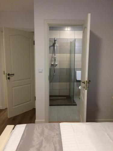 a bathroom with a shower with a glass door at Provincial in Vişeu de Jos