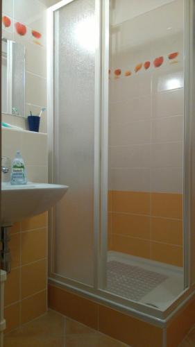 a shower with a glass door next to a sink at Donovaly AD Kamzík - apartmán 47 in Donovaly