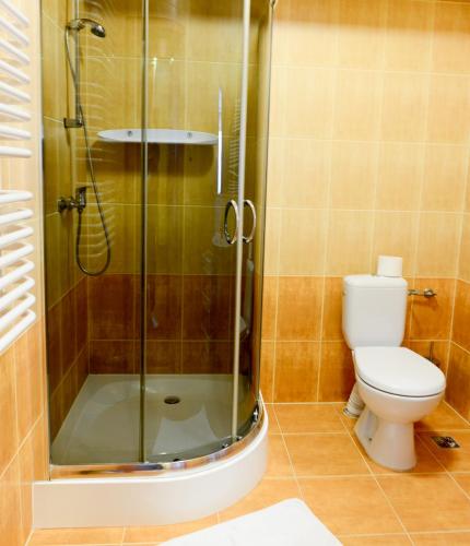 a bathroom with a toilet and a glass shower at Dworek Emilli in Wieliczka