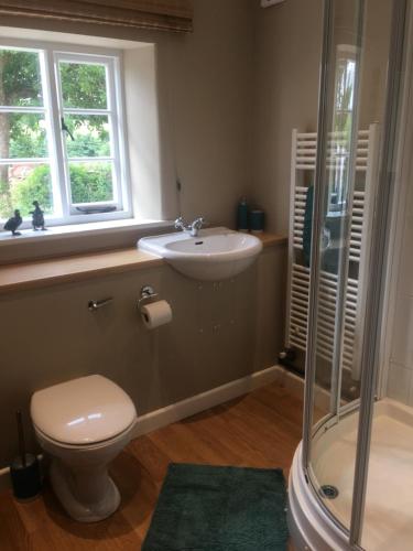 a bathroom with a toilet and a sink and a shower at The Studio in Wiveliscombe