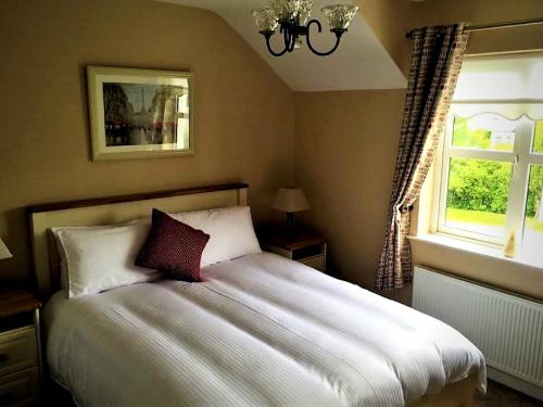 um quarto com uma cama e uma janela em Greenway View B&B em Newport