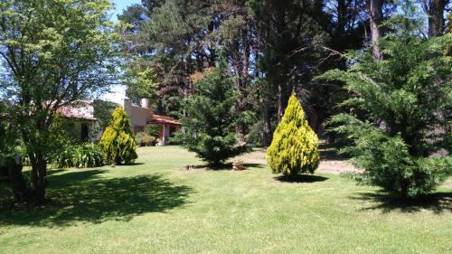 a group of trees in the yard of a house at Cabañas Valle Del Sol in Tandil