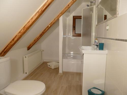 a bathroom with a toilet and a sink at Domek nad Złotym Potokiem in Szklarska Poręba