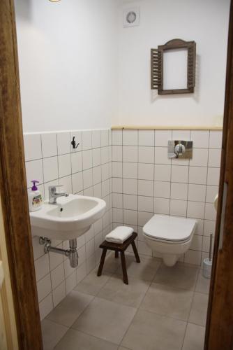 a bathroom with a sink and a toilet at Apartmány Kojákovice - Třeboň in Jílovice
