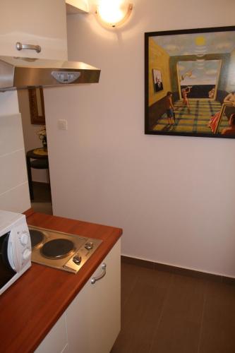 Kuchyň nebo kuchyňský kout v ubytování Apartments Mrduljaš