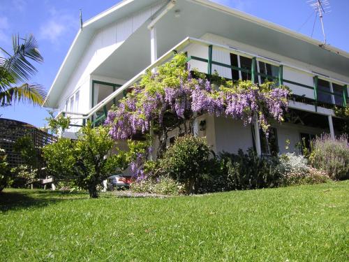 Jardí fora de Aimeo Cottage