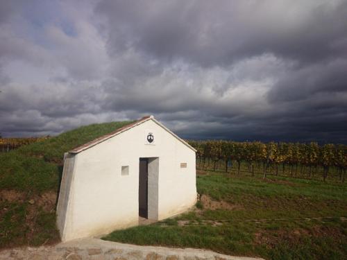 a small white building in the middle of a field at Weingut Wagner in Leodagger