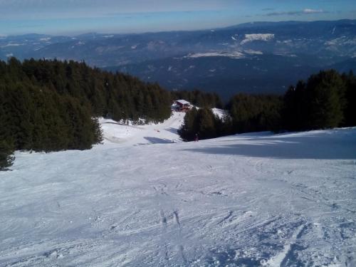 a snow covered slope with trees on a mountain at Deny Holiday home in Dobrinishte