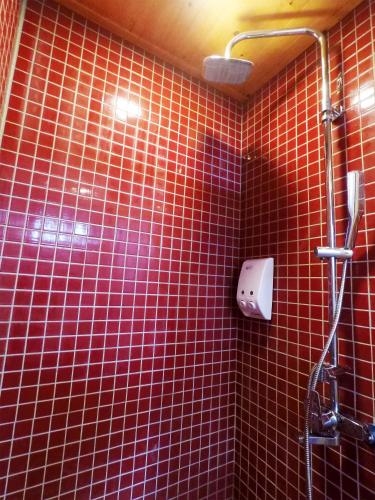 a bathroom with red tiled walls and a shower at Yue Lake Backpackers in Yuchi