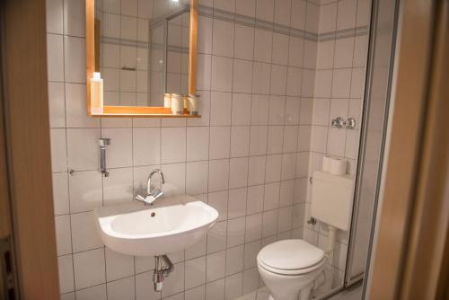 uma casa de banho com um lavatório, um WC e um espelho. em Landgasthof Marlishausen em Arnstadt