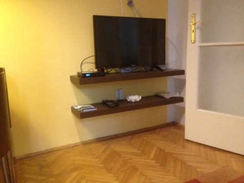 una TV a schermo piatto a parete in camera di Pauler19 Apartement a Budapest