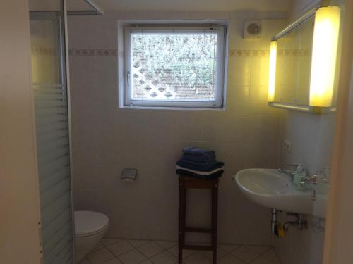 baño con lavabo y aseo y ventana en Apartement Schönbach, en Holzhausen