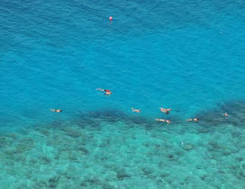 a group of people swimming in the water at Shimoni Reef Lodge in Shimoni