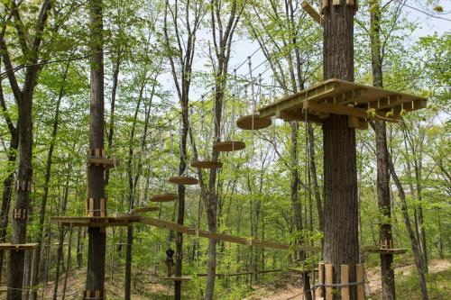 a forest with several trees with wooden supports at The Appalachian at Mountain Creek in Vernon
