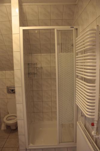 a shower in a bathroom with a toilet at pensjonat kuba in Korbielów