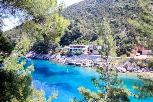 Φυσικό τοπίο κοντά σε αυτό το διαμέρισμα