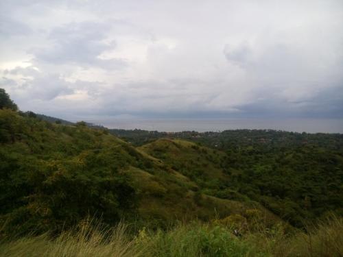 a view from the top of a hill with trees at Krisna Homestay in Pemuteran