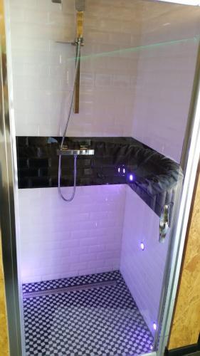 W łazience znajduje się prysznic, fioletowa podłoga i avisor. w obiekcie Cabane Zen w mieście Corbeil-Essonnes