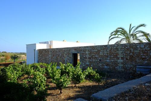 Κήπος έξω από το Relais Masseria Sant'Antonio