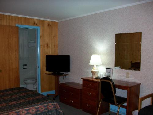 a hotel room with a bed and a desk and a television at Mohican Motel in Cooperstown