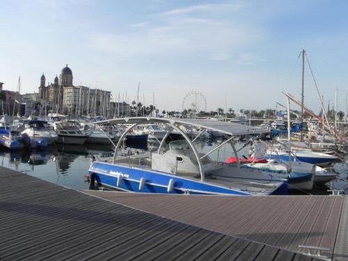 a group of boats are docked in a marina at B&B Le clos des vignes Saint Raphael in Saint-Raphaël