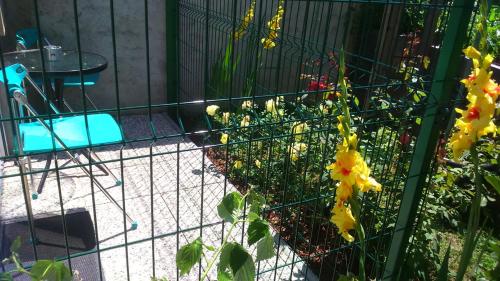 a fence with yellow flowers in a garden at Vila Ema Apartments and Rooms in Ljubljana