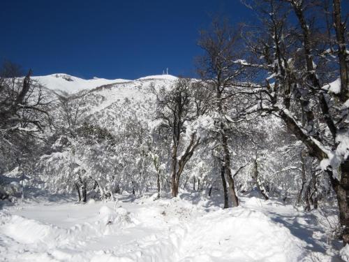 Gallery image of Cabañas Alto Cordillera in Las Trancas