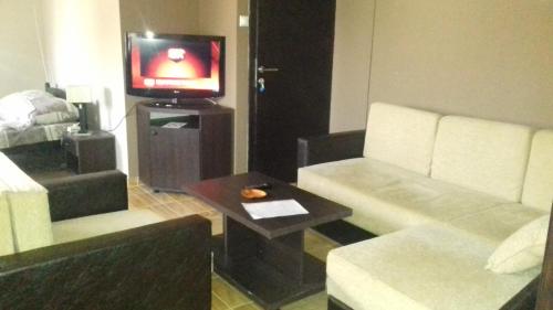 uma sala de estar com um sofá e uma televisão em Asterix Rooms em Leskovac