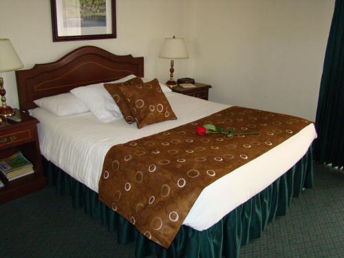 Una cama o camas en una habitación de Hotel San Fernando Real