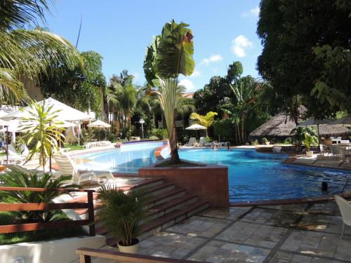 a swimming pool with a palm tree in a resort at Condomínio Solar Pipa in Pipa