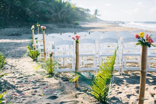 a row of chairs in the sand on a beach at Natura Cabana Boutique Hotel & SPA by Mint in Cabarete