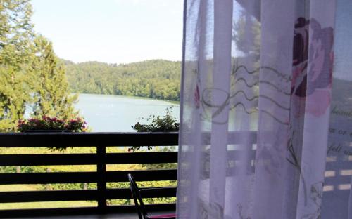 a view of a lake from a balcony at Lake House Apartment in Medvode
