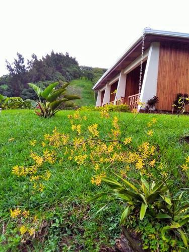 a house in a field with yellow flowers in front of it at Belcruz family lodge in Monteverde Costa Rica