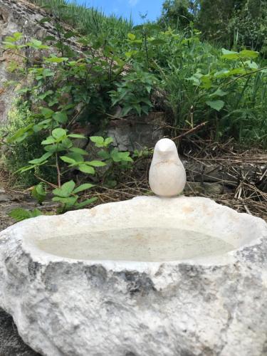 a white bird sitting on top of a rock at Vánkos in Badacsonyörs