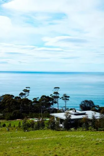 Dragonfly Lodge picture