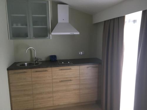 een keuken met een wastafel en een witte kap bij Apartments Dalmatinka in Neum